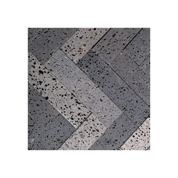 SVMA01