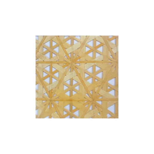 SRGA01 - Image 6