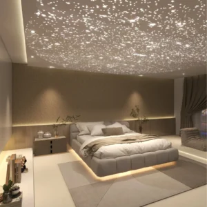 Star Ceiling Panel