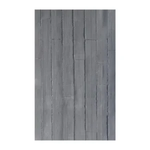 SFRPA01