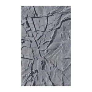 SFRPA06