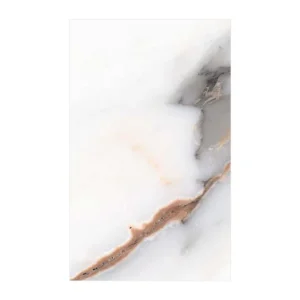 SWPSA217
