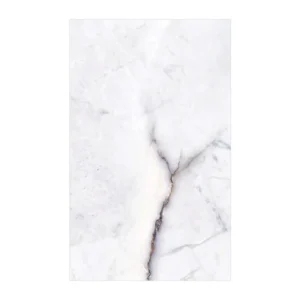 SWPSA223